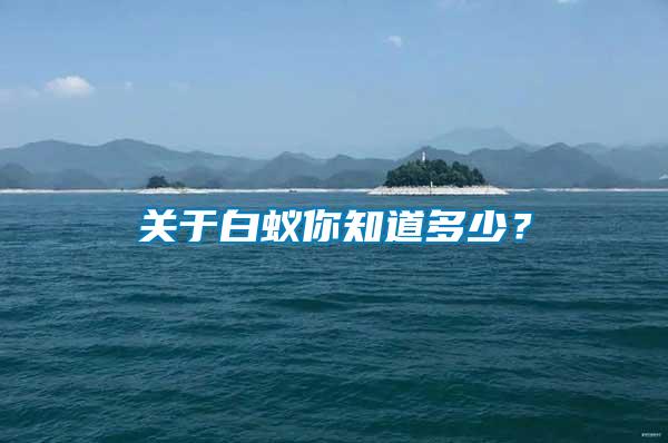 關(guān)于白蟻你知道多少？