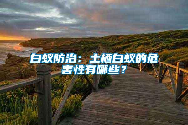 白蟻防治：土棲白蟻的危害性有哪些？