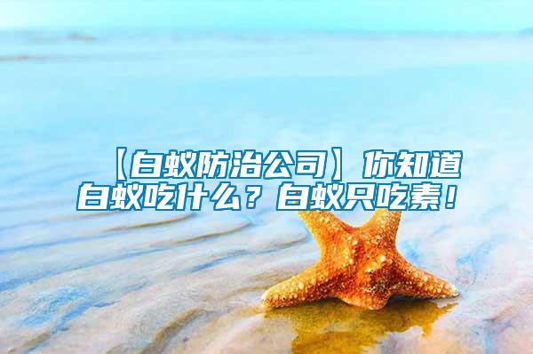 【白蟻防治公司】你知道白蟻吃什么？白蟻只吃素！
