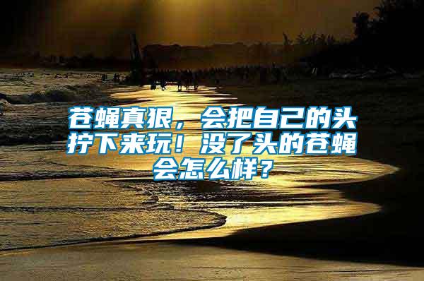 蒼蠅真狠，會(huì)把自己的頭擰下來(lái)玩！沒(méi)了頭的蒼蠅會(huì)怎么樣？