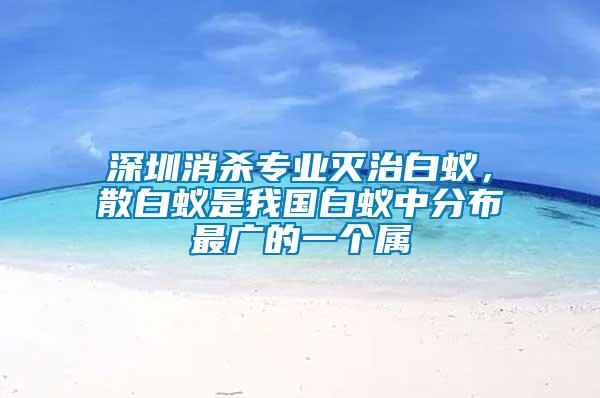 深圳消殺專業(yè)滅治白蟻，散白蟻是我國白蟻中分布最廣的一個屬