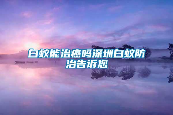 白蟻能治癌嗎深圳白蟻防治告訴您