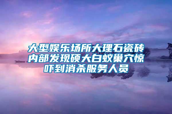 大型娛樂場所大理石瓷磚內(nèi)部發(fā)現(xiàn)碩大白蟻巢穴驚嚇到消殺服務(wù)人員