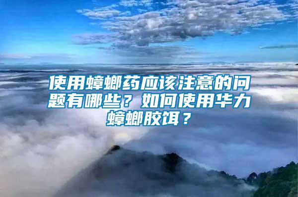 使用蟑螂藥應(yīng)該注意的問(wèn)題有哪些？如何使用華力蟑螂膠餌？