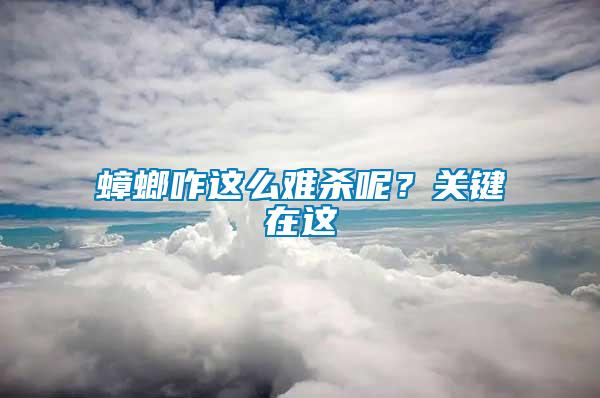 蟑螂咋這么難殺呢？關(guān)鍵在這