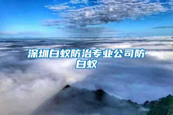 深圳白蟻防治專業(yè)公司防白蟻