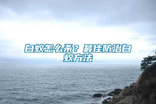 白蟻怎么殺？最佳防治白蟻方法