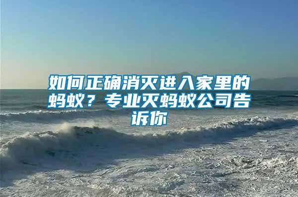 如何正確消滅進入家里的螞蟻？專業(yè)滅螞蟻公司告訴你