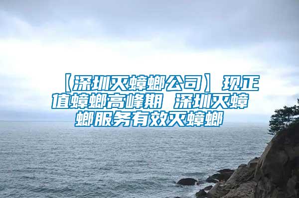 【深圳滅蟑螂公司】現(xiàn)正值蟑螂高峰期 深圳滅蟑螂服務(wù)有效滅蟑螂