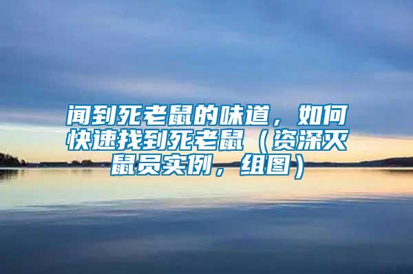 聞到死老鼠的味道，如何快速找到死老鼠（資深滅鼠員實(shí)例，組圖）