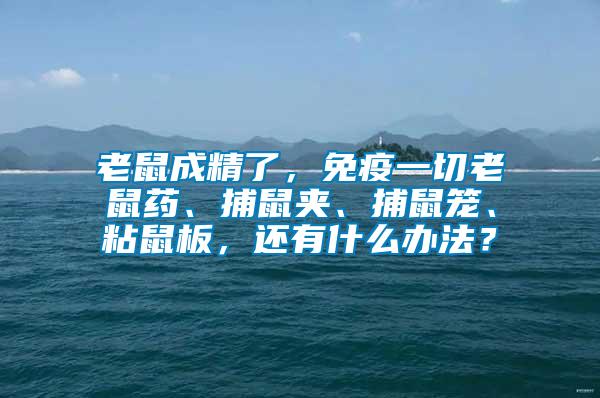 老鼠成精了，免疫一切老鼠藥、捕鼠夾、捕鼠籠、粘鼠板，還有什么辦法？