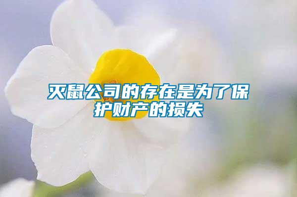 滅鼠公司的存在是為了保護(hù)財(cái)產(chǎn)的損失