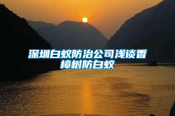 深圳白蟻防治公司淺談香樟樹防白蟻