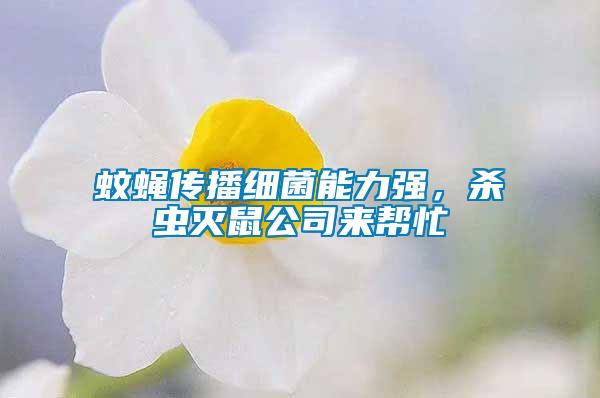 蚊蠅傳播細(xì)菌能力強(qiáng)，殺蟲(chóng)滅鼠公司來(lái)幫忙