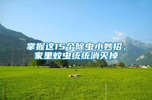 掌握這15個(gè)除蟲小妙招，家里蚊蟲統(tǒng)統(tǒng)消滅掉