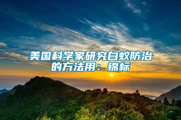 美國科學(xué)家研究白蟻防治的方法用：錦標(biāo)