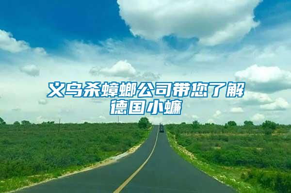 義烏殺蟑螂公司帶您了解德國(guó)小蠊