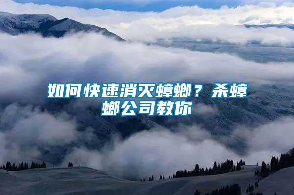 如何快速消滅蟑螂？殺蟑螂公司教你