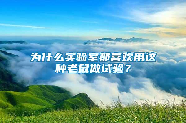 為什么實(shí)驗(yàn)室都喜歡用這種老鼠做試驗(yàn)？