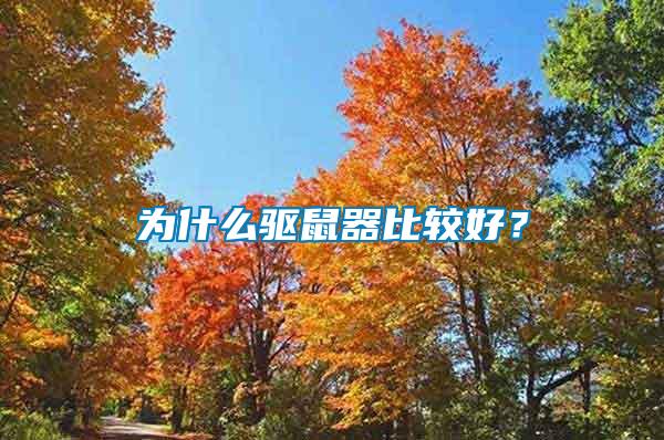 為什么驅(qū)鼠器比較好？