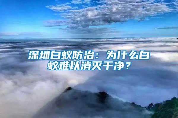 深圳白蟻防治：為什么白蟻難以消滅干凈？