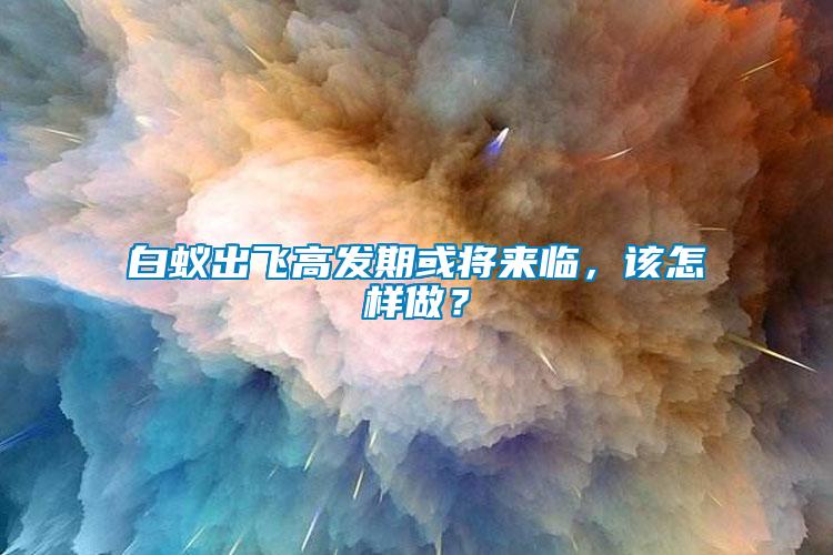 白蟻出飛高發(fā)期或將來臨，該怎樣做？