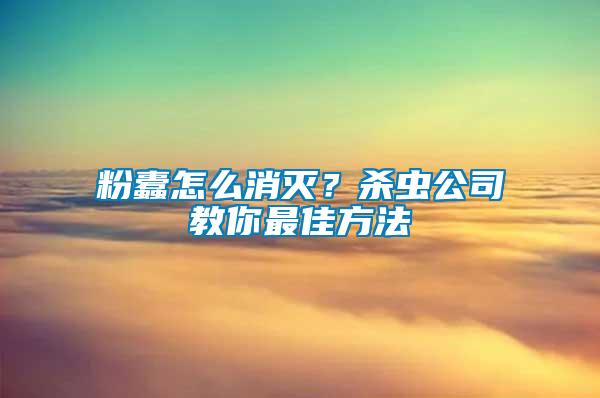 粉蠹怎么消滅？殺蟲公司教你最佳方法