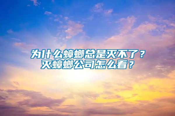 為什么蟑螂總是滅不了？滅蟑螂公司怎么看？