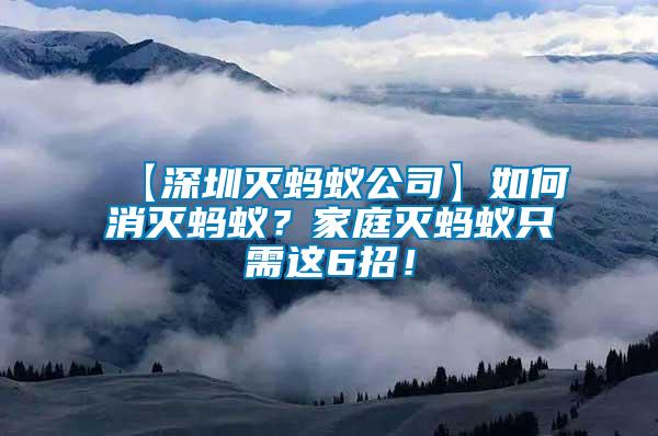 【深圳滅螞蟻公司】如何消滅螞蟻？家庭滅螞蟻只需這6招！