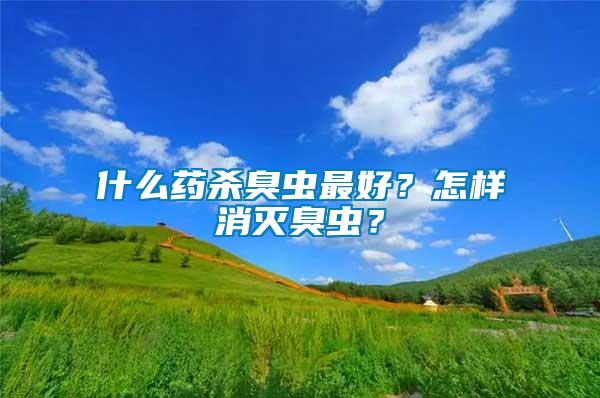 什么藥殺臭蟲最好？怎樣消滅臭蟲？