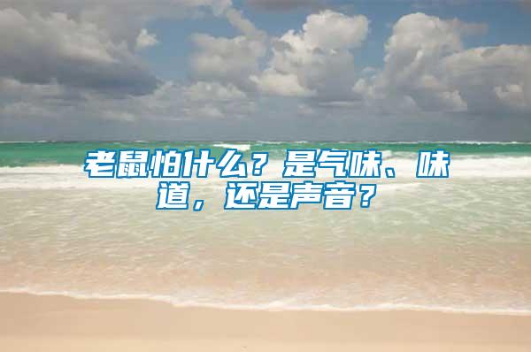 老鼠怕什么？是氣味、味道，還是聲音？