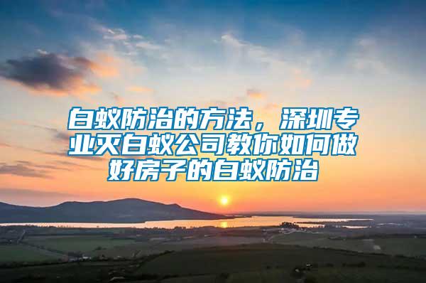 白蟻防治的方法，深圳專業(yè)滅白蟻公司教你如何做好房子的白蟻防治