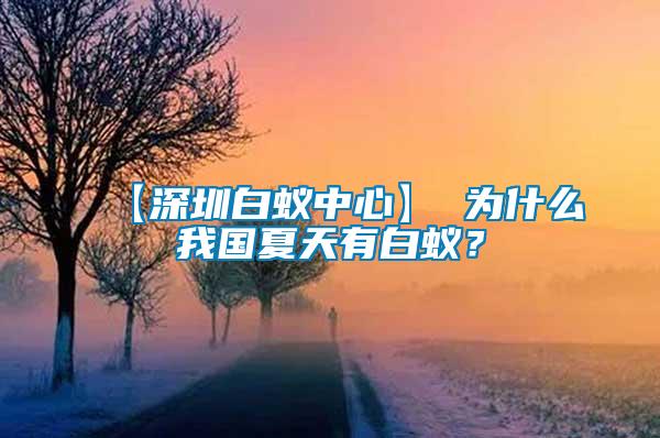 【深圳白蟻中心】 為什么我國夏天有白蟻？