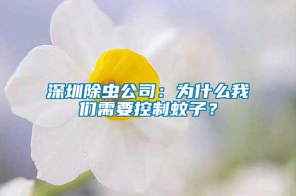 深圳除蟲(chóng)公司：為什么我們需要控制蚊子？