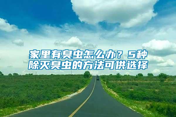 家里有臭蟲怎么辦？5種除滅臭蟲的方法可供選擇