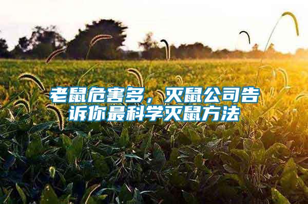 老鼠危害多，滅鼠公司告訴你最科學(xué)滅鼠方法