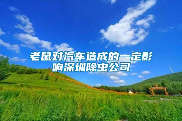 老鼠對汽車造成的一定影響深圳除蟲公司