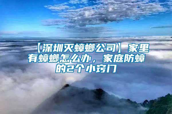 【深圳滅蟑螂公司】家里有蟑螂怎么辦，家庭防蟑的2個小竅門