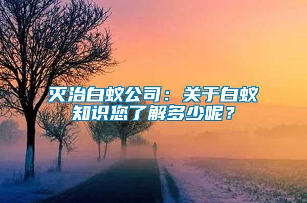 滅治白蟻公司：關(guān)于白蟻知識(shí)您了解多少呢？