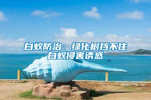 白蟻防治：綠化樹擋不住白蟻侵害誘惑