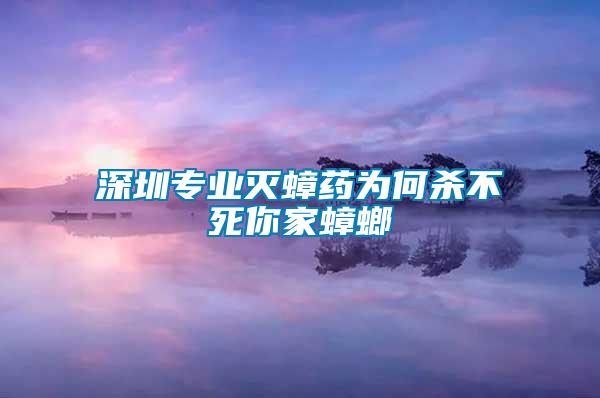 深圳專業(yè)滅蟑藥為何殺不死你家蟑螂