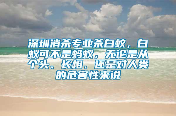 深圳消殺專業(yè)殺白蟻，白蟻可不是螞蟻，無論是從個(gè)頭、長相、還是對人類的危害性來說