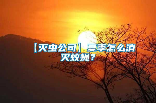 【滅蟲公司】夏季怎么消滅蚊蠅？