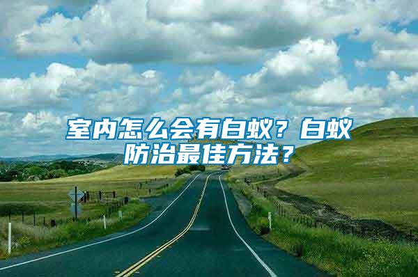 室內(nèi)怎么會有白蟻？白蟻防治最佳方法？