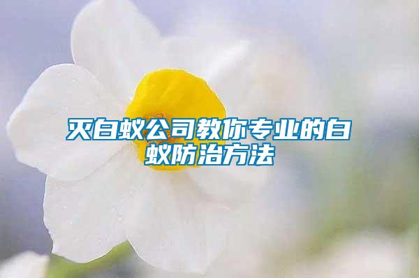 滅白蟻公司教你專(zhuān)業(yè)的白蟻防治方法