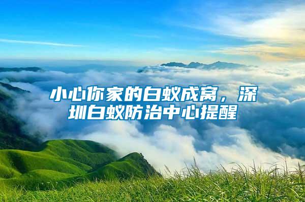 小心你家的白蟻成窩，深圳白蟻防治中心提醒