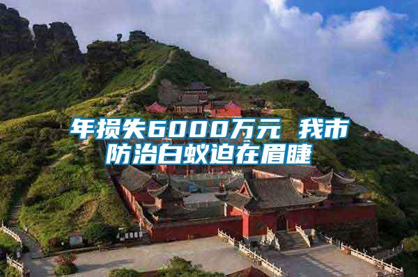 年損失6000萬元 我市防治白蟻迫在眉睫