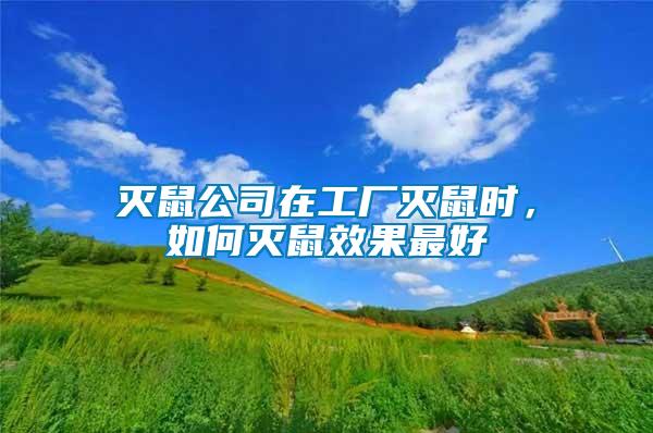 滅鼠公司在工廠滅鼠時(shí)，如何滅鼠效果最好