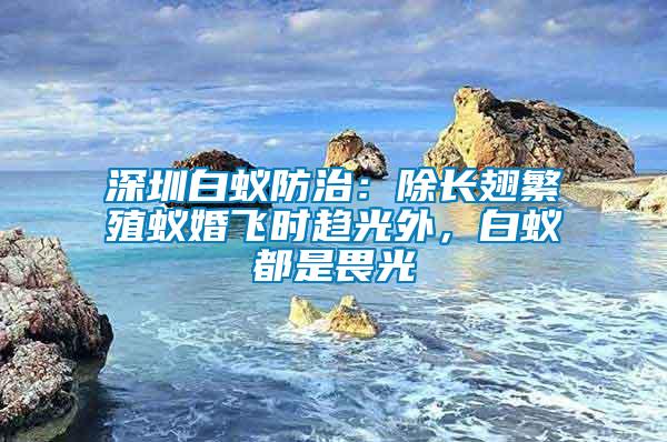 深圳白蟻防治：除長翅繁殖蟻婚飛時趨光外，白蟻都是畏光