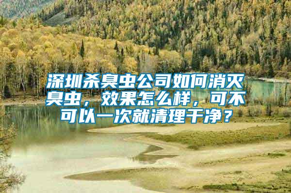 深圳殺臭蟲公司如何消滅臭蟲，效果怎么樣，可不可以一次就清理干凈？